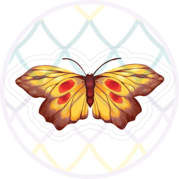 Kolorowa naklejka z motylem - Smocze Skarby